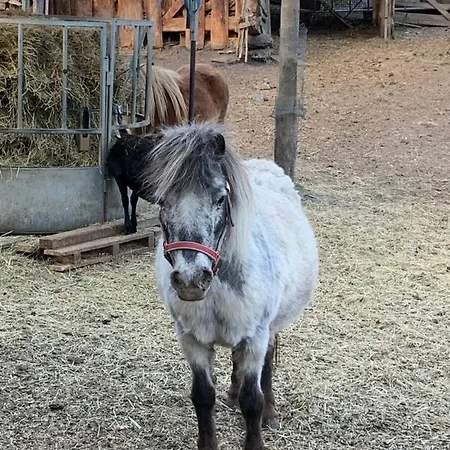 Pensión Schmiedhof Stumm