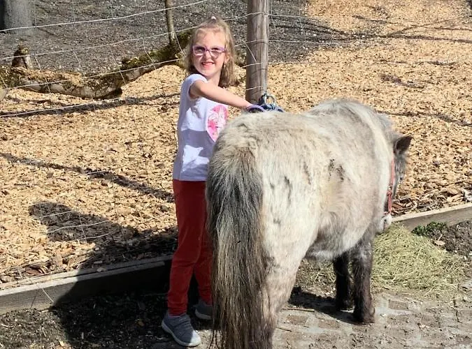 Schmiedhof Πανσιόν